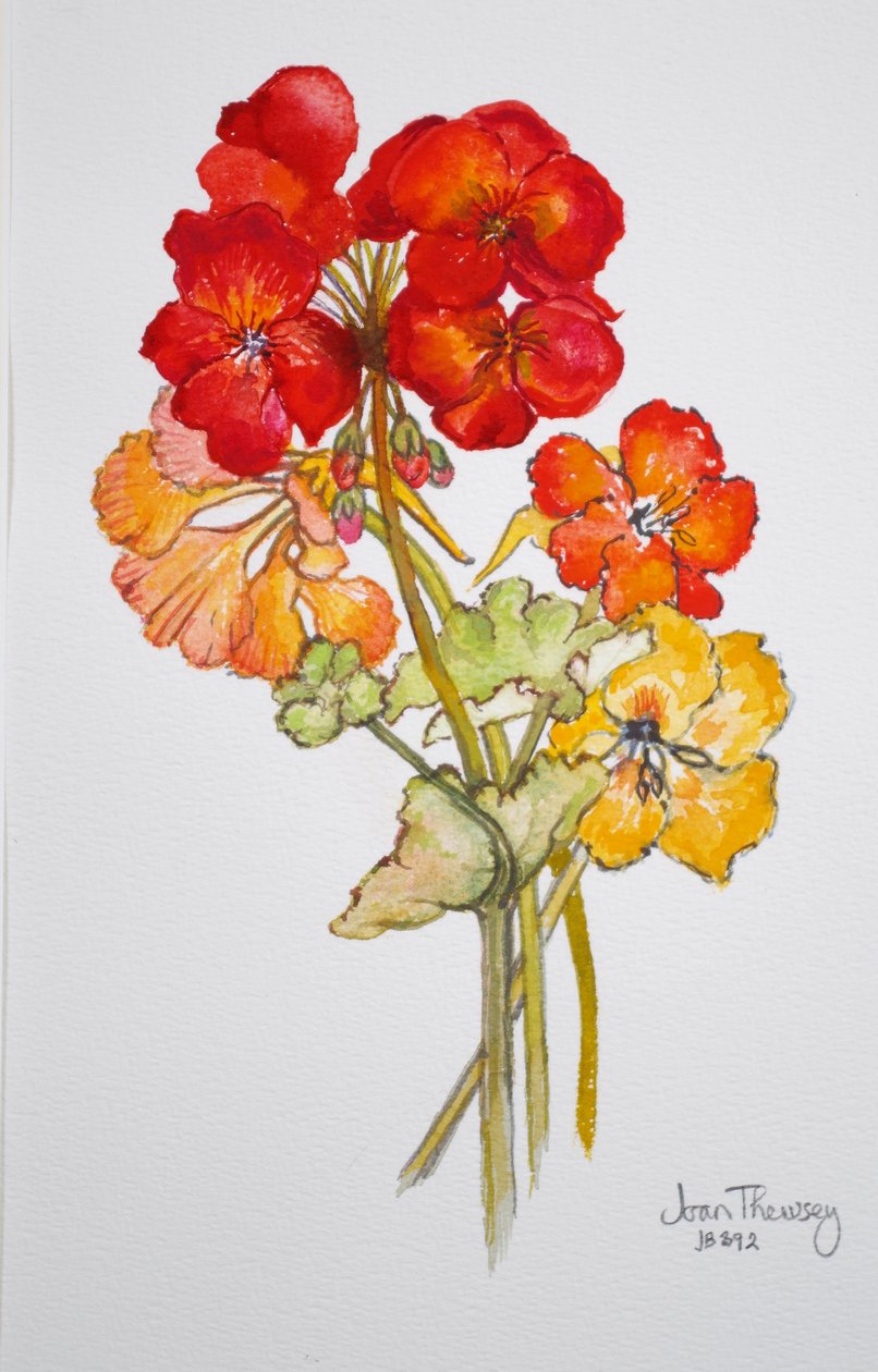 Geranium ja Nasturtiums, 2014, akvarelli tekijältä Joan Thewsey