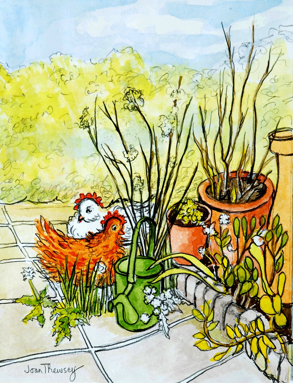 Kanat ja ruukut, Lucy Redman Open Garden, 2000, (kynä akvarellipesulla) tekijältä Joan Thewsey
