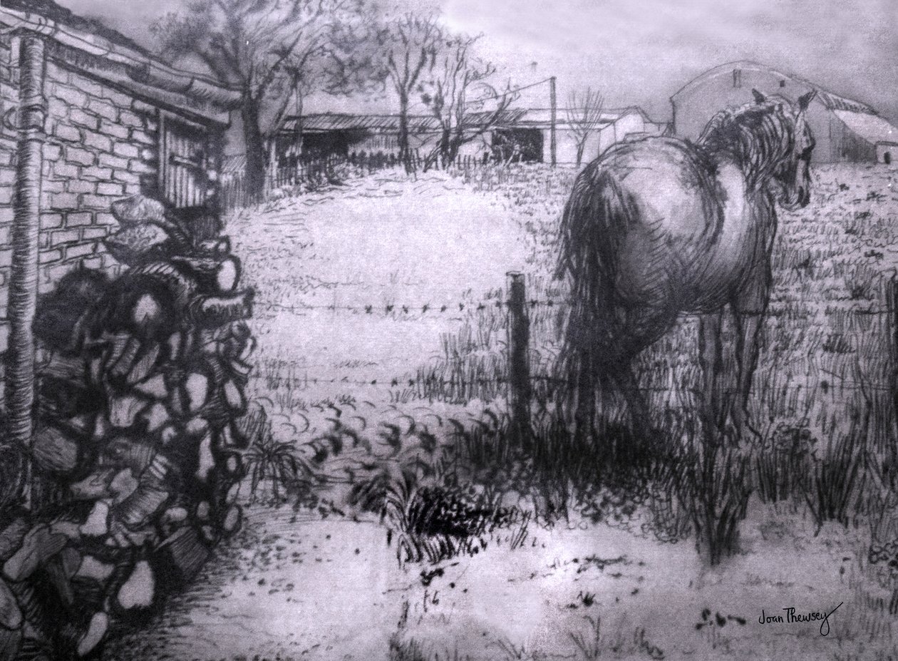 Hevonen lepuuttaa jalkaansa,2000, (tussi märälle ingres-paperille) tekijältä Joan Thewsey