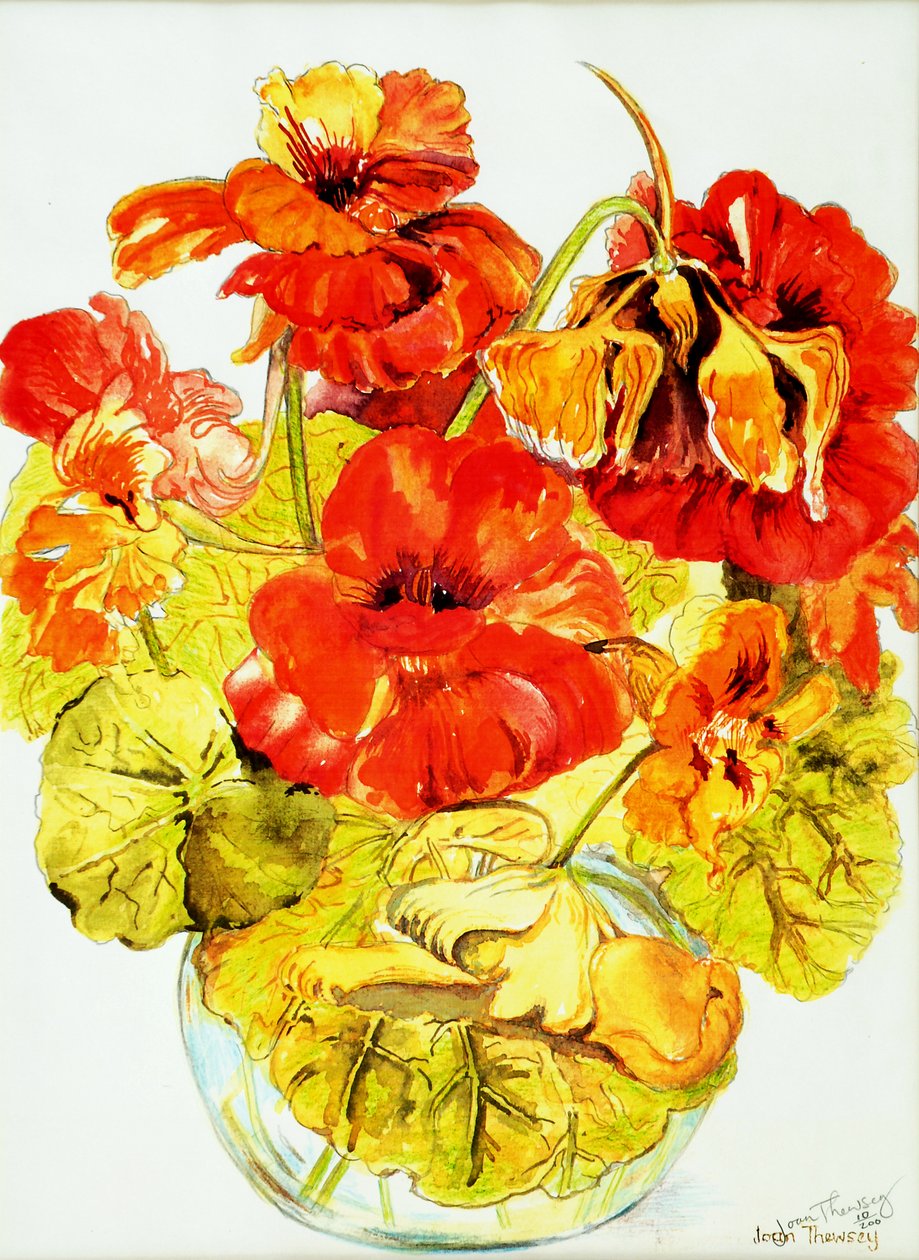 Nasturtiums,2005,(vesiväri) tekijältä Joan Thewsey