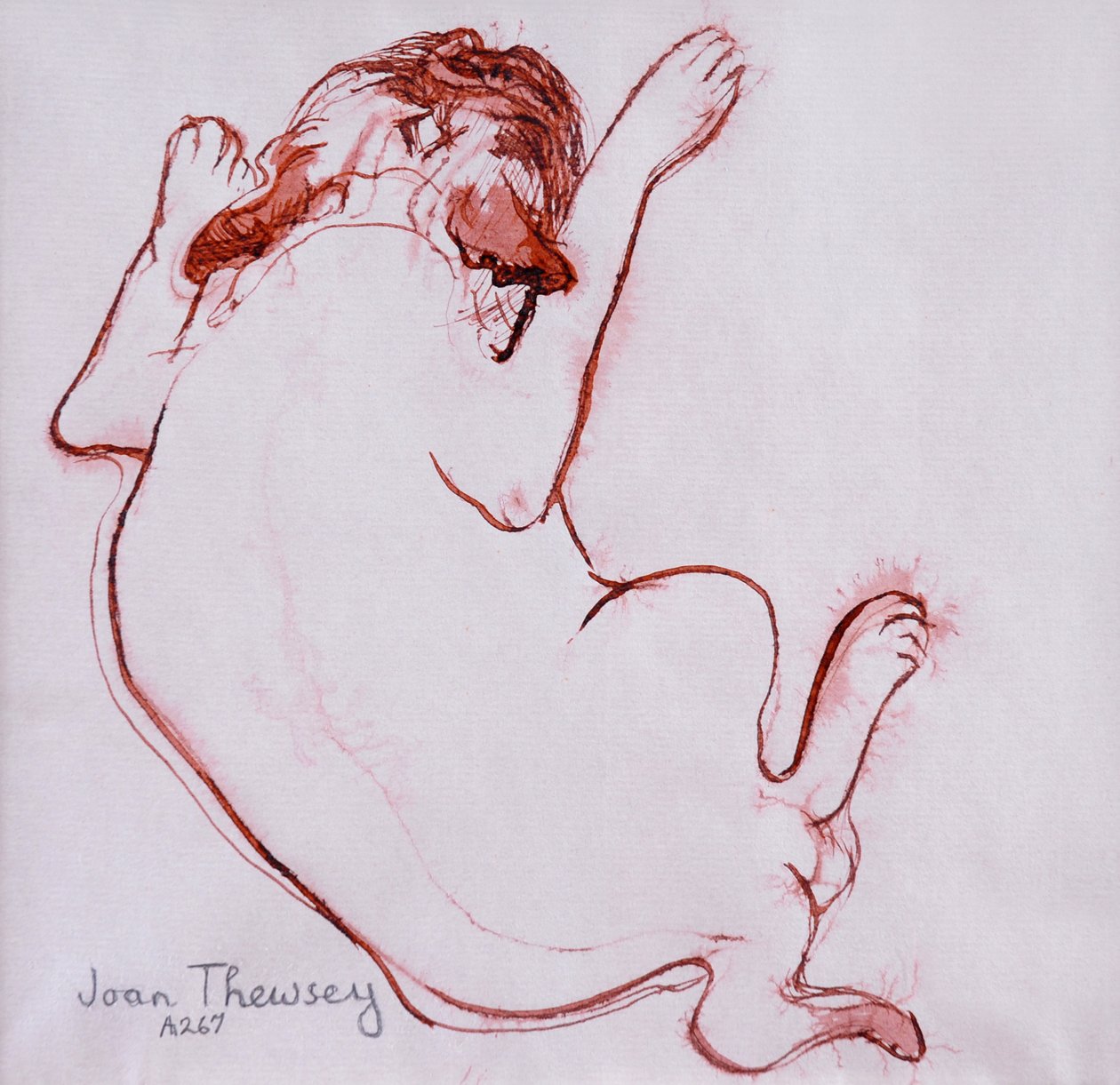 Mopsipentu 1, 2005, (Muste märälle paperille) tekijältä Joan Thewsey