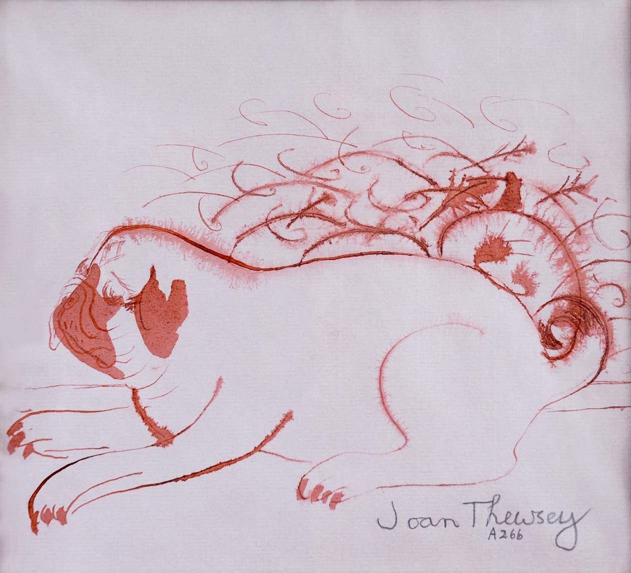 Mopsin pentu 2,2005,(tussi märälle paperille) tekijältä Joan Thewsey