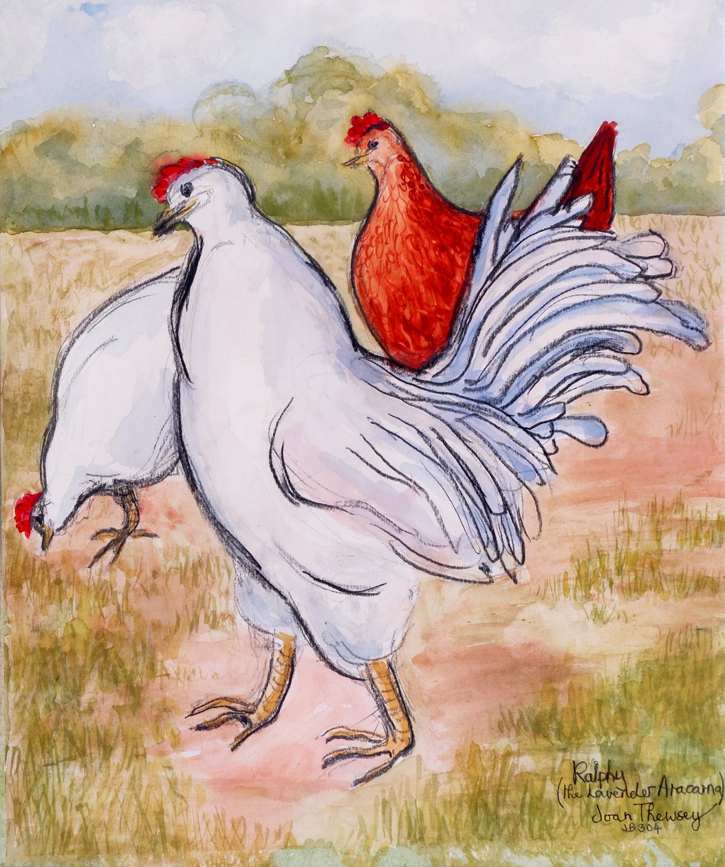 Ralphy,The Cockerel ,2005,(lyijykynä ja vesiväri) tekijältä Joan Thewsey