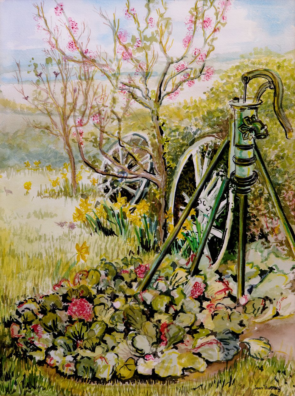 Puutarhapumppu, 2010, akvarelli tekijältä Joan Thewsey