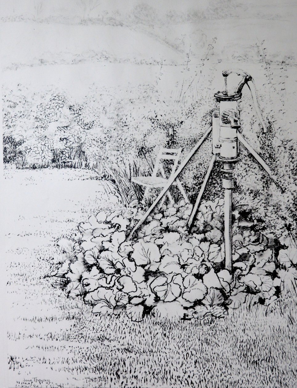 Puutarhapumppu, 1973(hiili) tekijältä Joan Thewsey