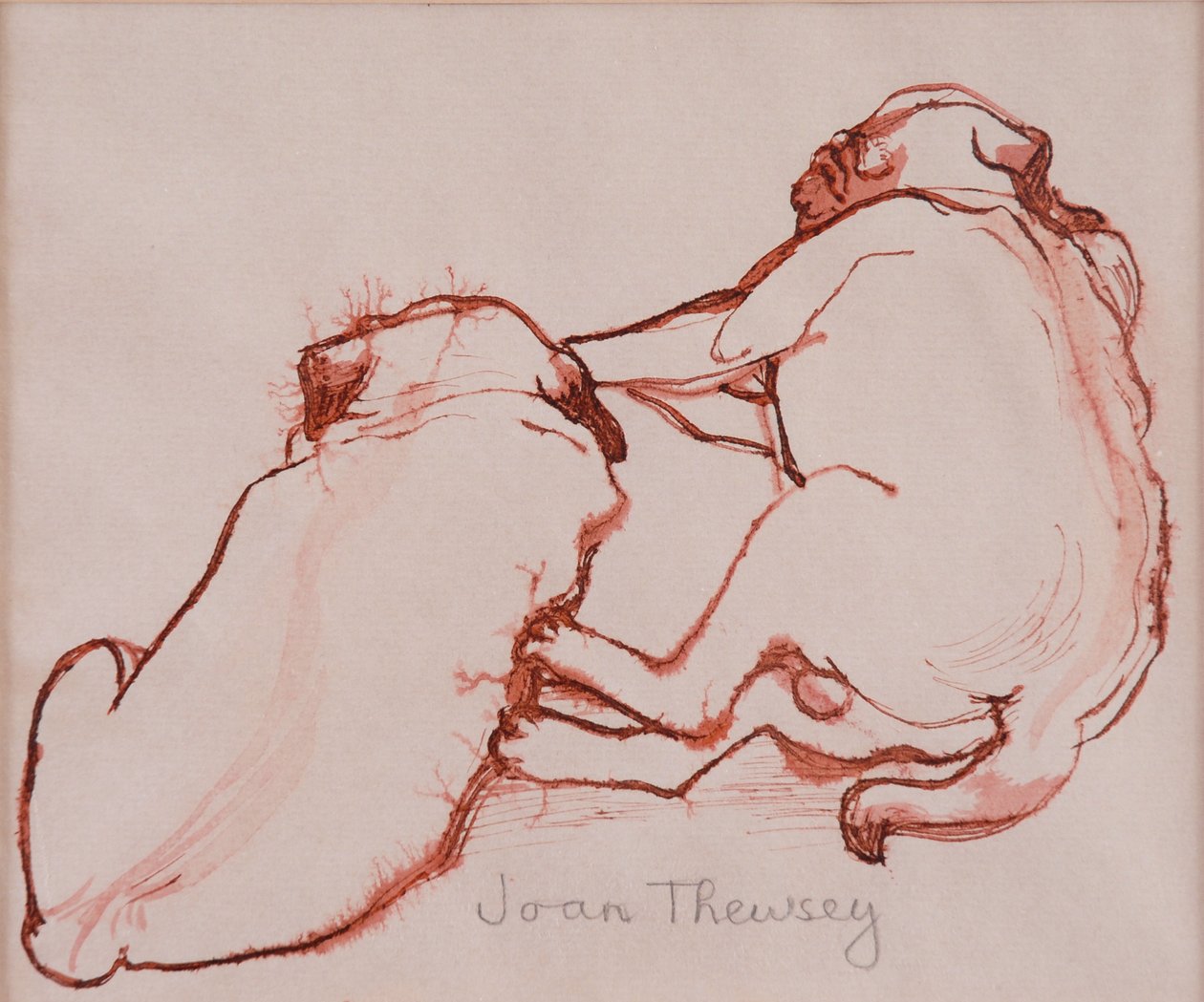 Kaksi mopsipentua, veljekset,2005,(tussi märälle paperille) tekijältä Joan Thewsey