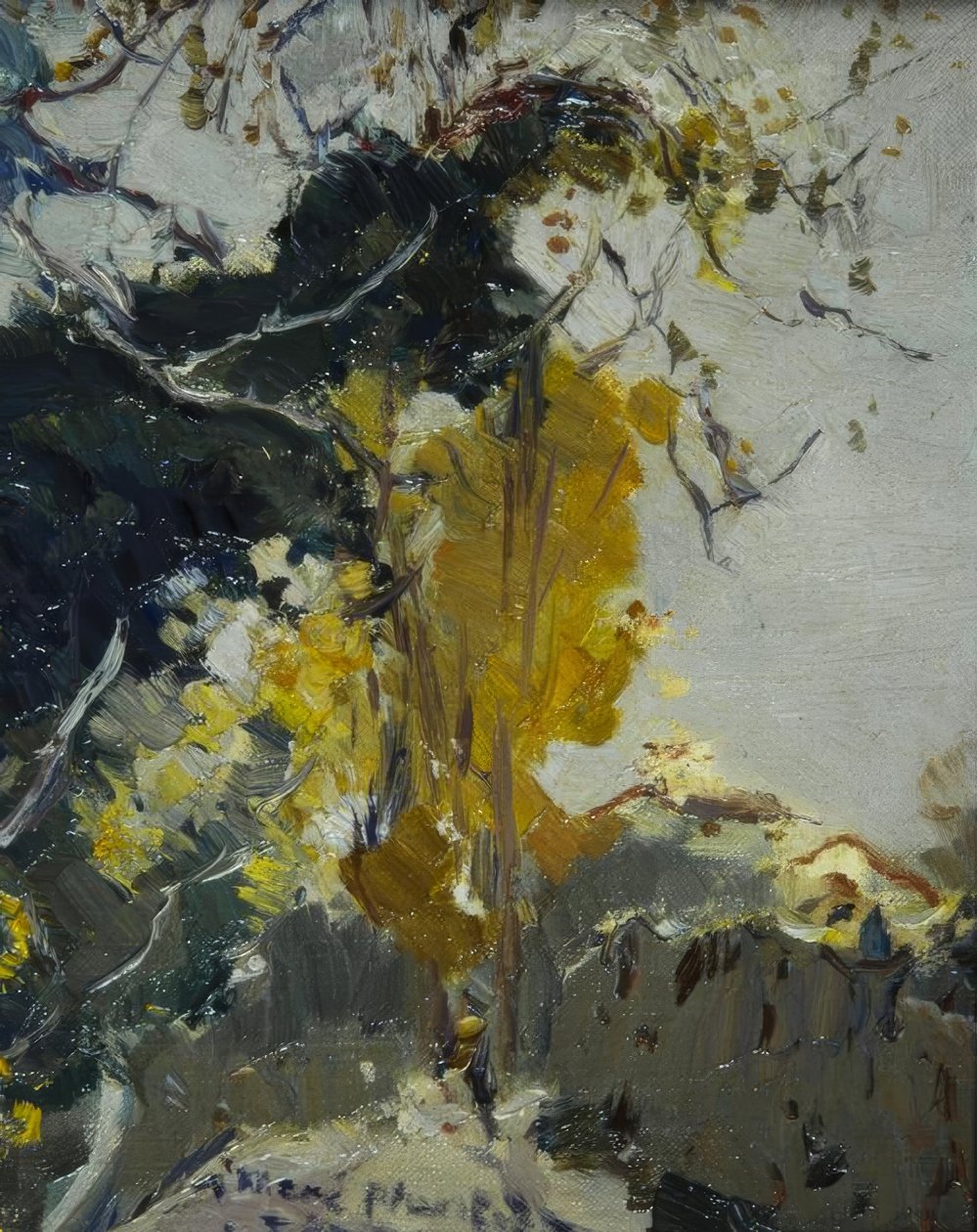 Baum tekijältä Joaquim Mir i Trinxet