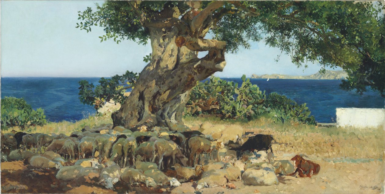 Johannisbrotbaum tekijältä Joaquín Sorolla