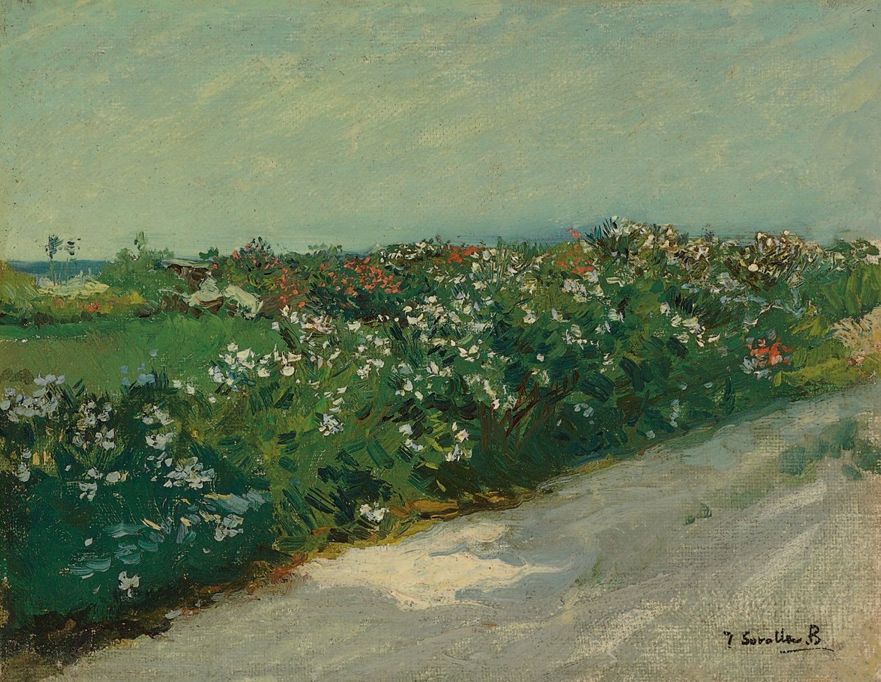 Malvarrosa tekijältä Joaquín Sorolla