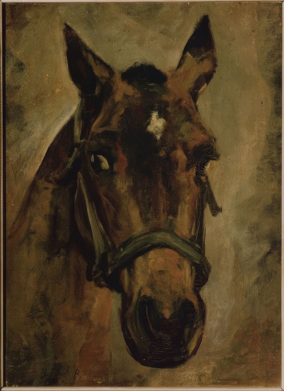 CABEZA DE CABALLO. Taiteilija: JOAQUIN SOROLLA. Paikkakunta: PRIVATE COLLECTION, MADRID, ESPANJA tekijältä Joaquín Sorolla