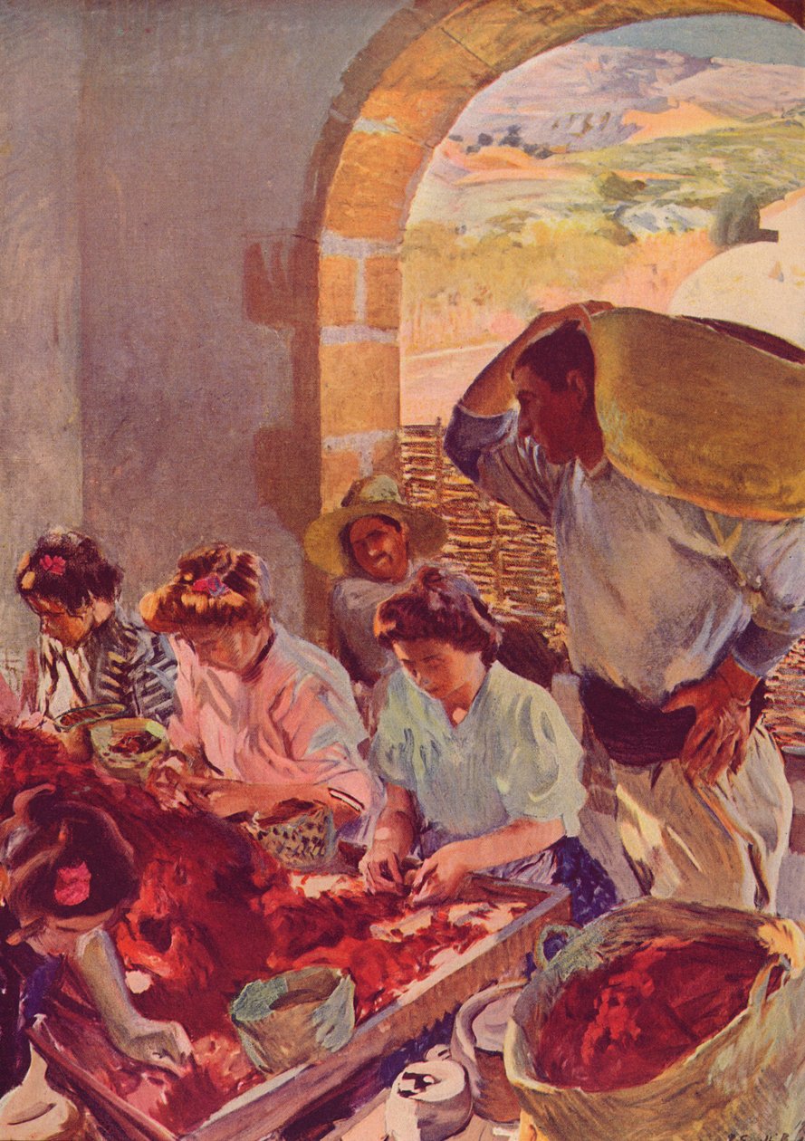 Kuivien viinirypäleiden valmistus, 1890, c1932 tekijältä Joaquín Sorolla