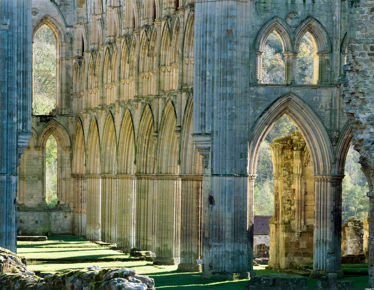 Rievaulx Abbey, 1990-2010 tekijältä Joe Cornish