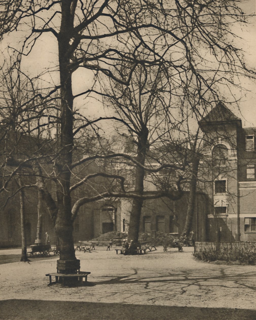 Under the Elms in the Courtyard of Middlesex Hospital, 1935. tekijältä Joel