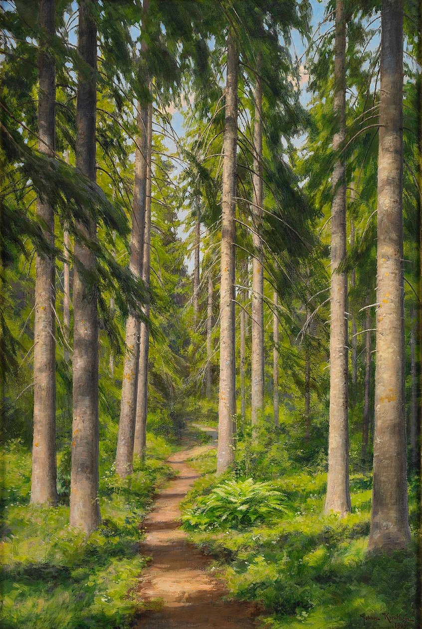 Aurinkoinen metsäpolku tekijältä Johan Fredrik Krouthen