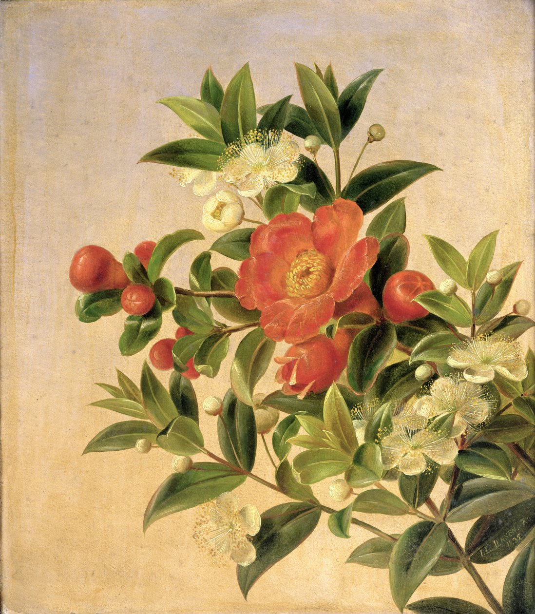 Kukat, 1835 tekijältä Johan Laurents Jensen