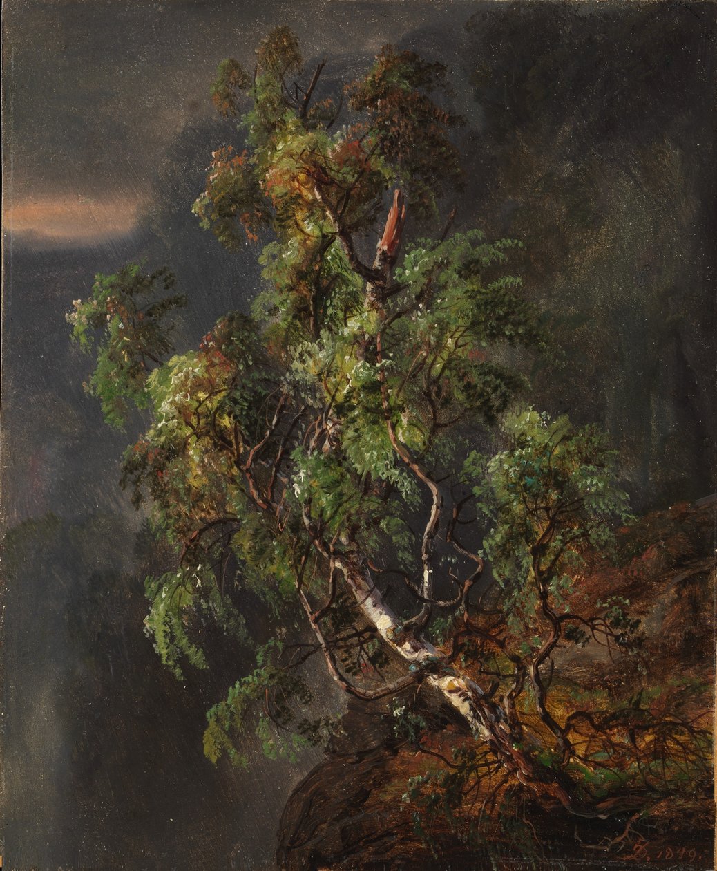 Koivu myrskyssä tekijältä Johan Christian Dahl