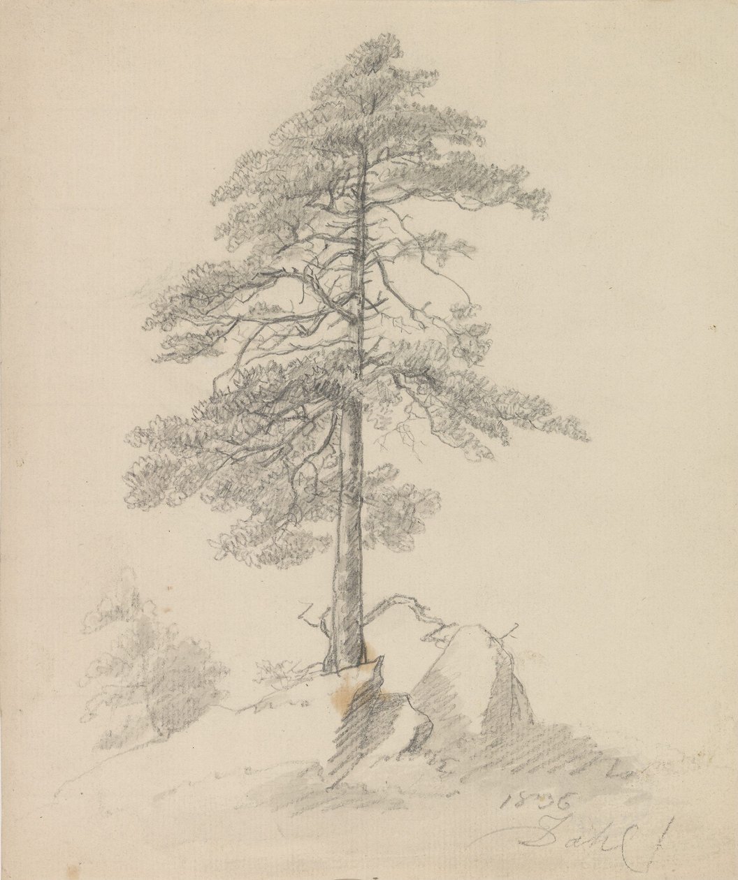 Mänty ja kallioita tekijältä Johan Christian Dahl