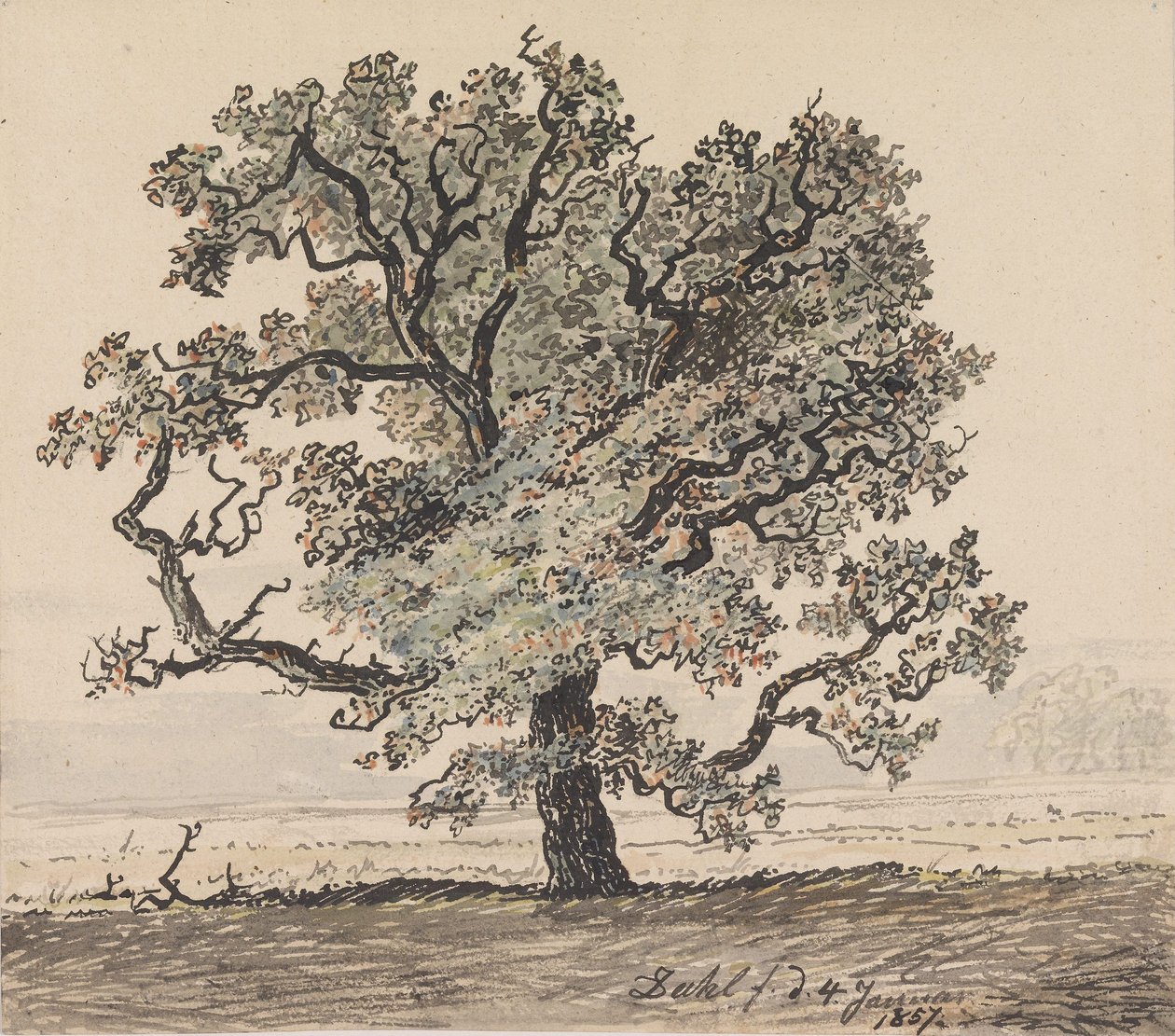 Mänty tasangolla tekijältä Johan Christian Dahl