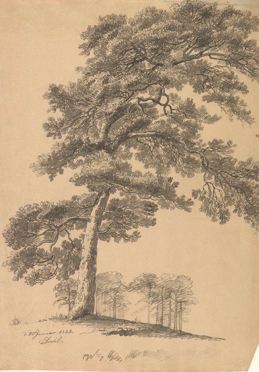 Mänty tekijältä Johan Christian Dahl