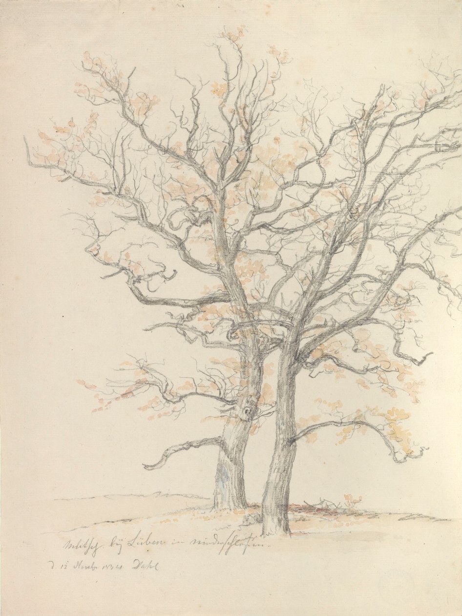 Kaksi tammea tekijältä Johan Christian Dahl