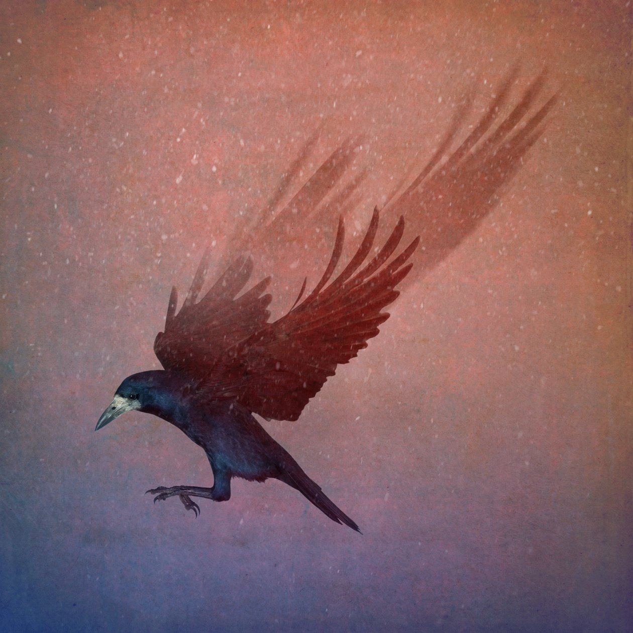 Bird Kingdom, 2018 (valokuvataide) tekijältä Johan Lilja
