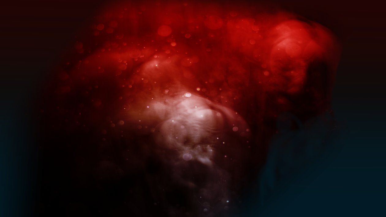 Bloodline The ugly, 2019 (valokuvaus) tekijältä Johan Lilja