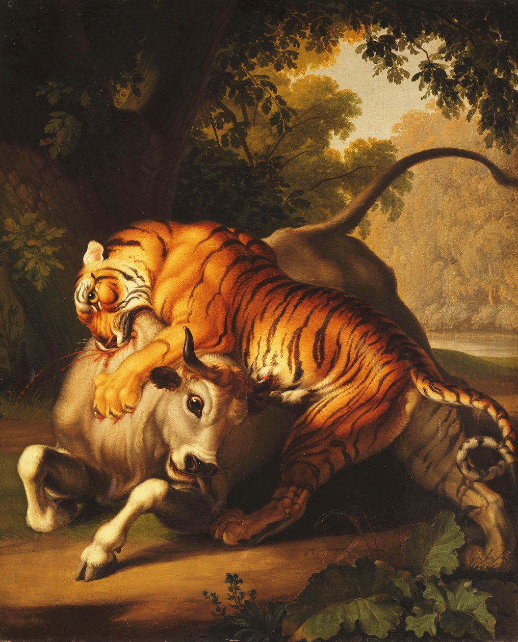 Tiikeri hyökkää härkää vastaan, 1785 tekijältä Johan Wenzel Peter