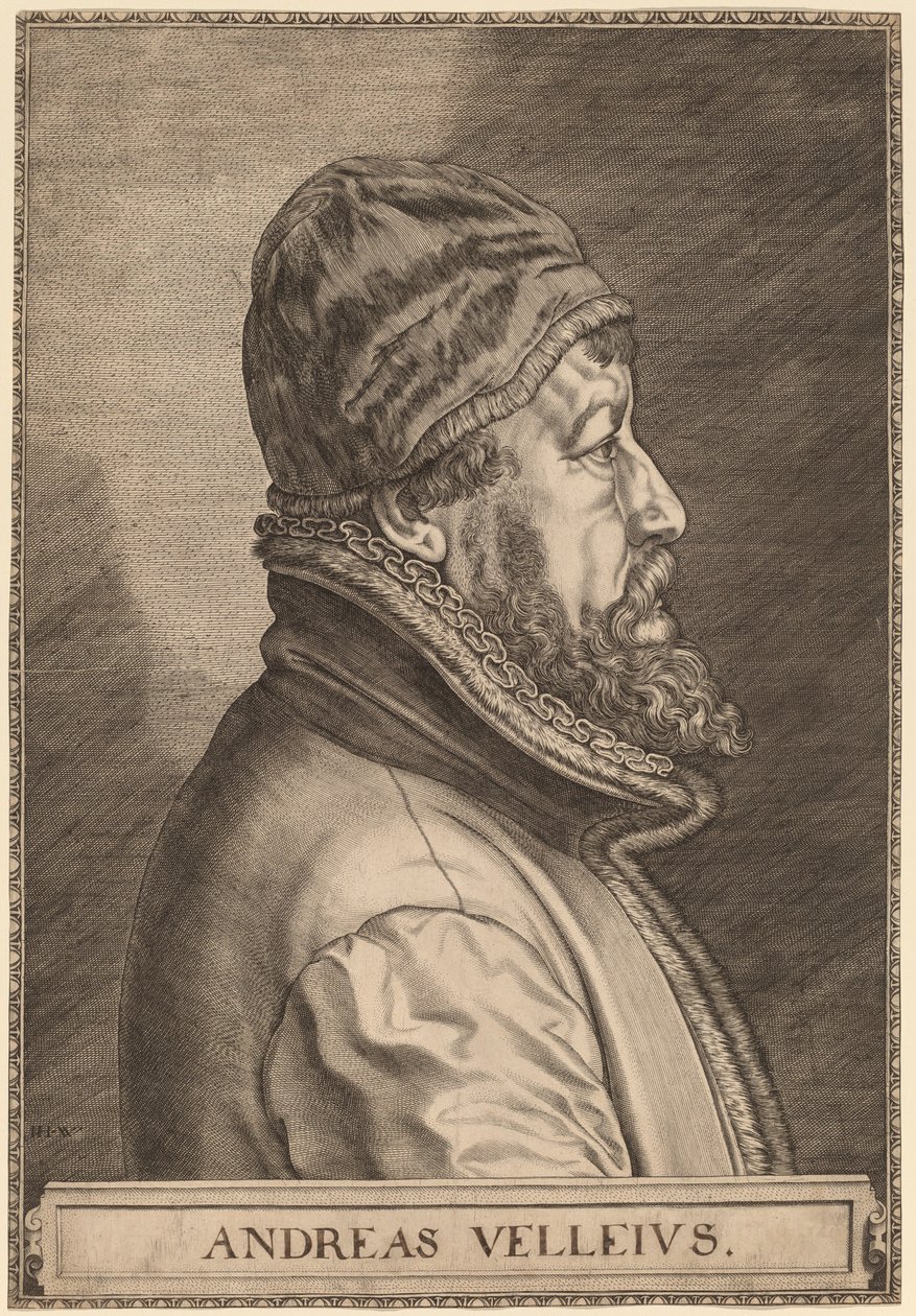 Andreas Velleius (Anders Sorensen Vedel) tekijältä Johan Wierix