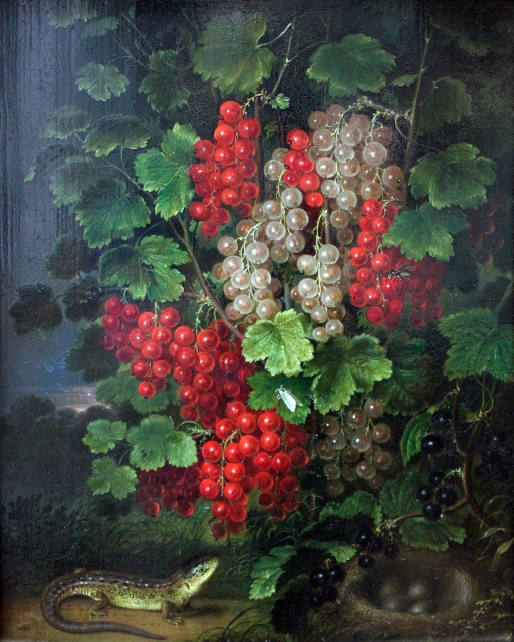Punaviinimarjat tekijältä Johann Adam Schlesinger