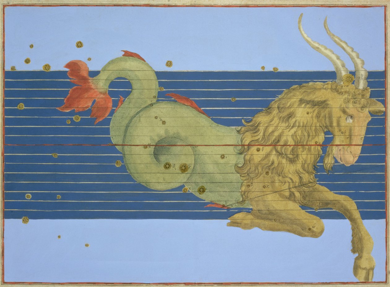 Kauriin tähdistö Johann Bayerin "Uranometriasta", kaiverrettu Alexander Mairilta (1559-c.1616) 1603 (käsinvärjätty kuparikaiverrus). tekijältä Johann Bayer