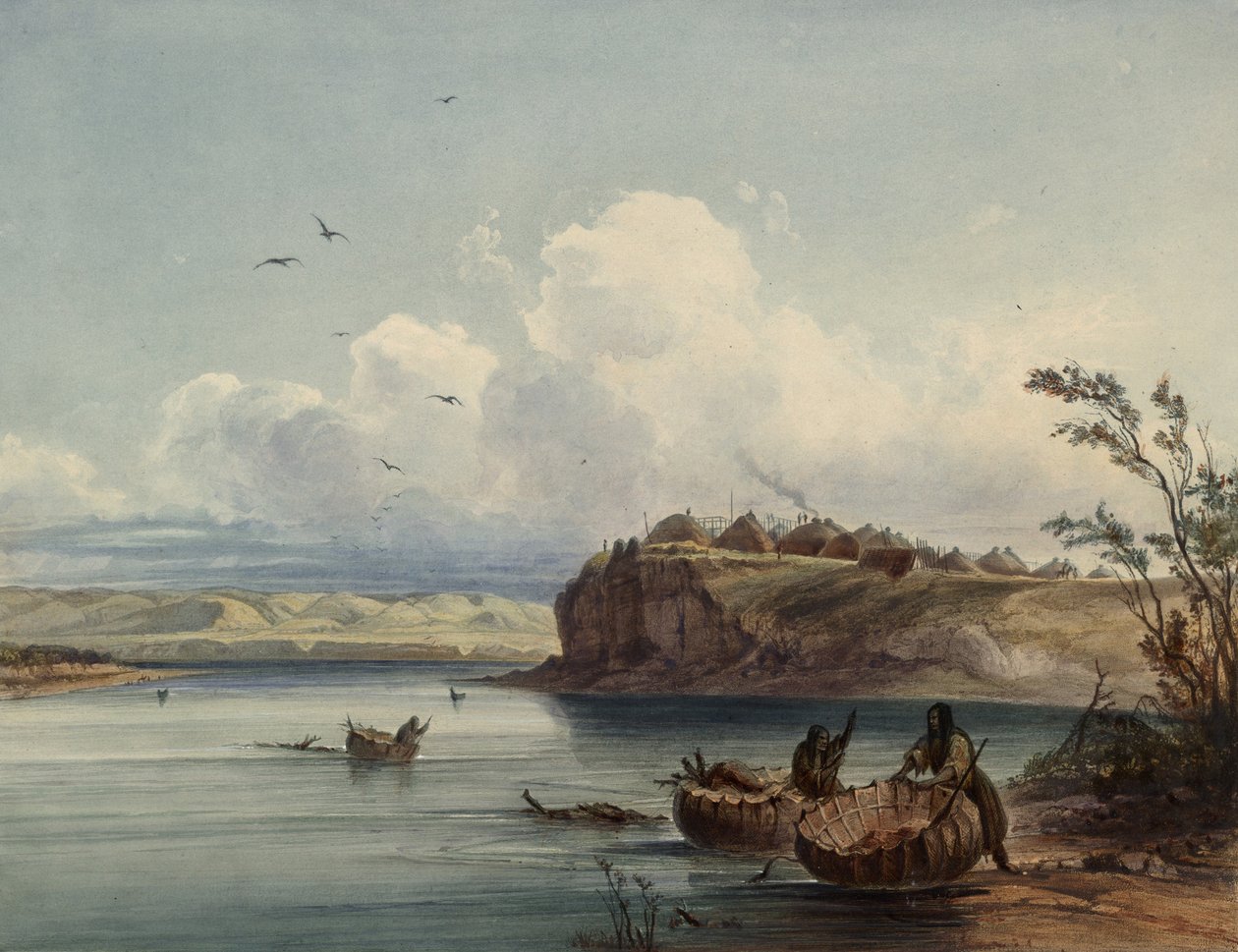 Katso lähdekuva, juuri leikattu valtava vanilja -alue tekijältä Karl Bodmer