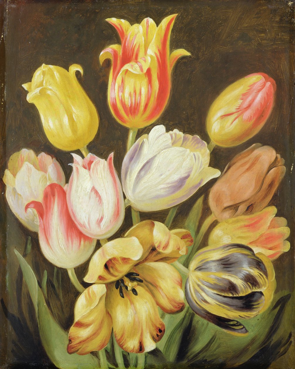 Kukkatutkimus tekijältä Johann Friedrich August Tischbein