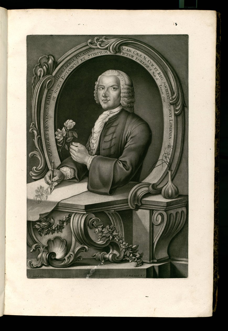 Georgius Dionysius Ehret tekijältä Johann Jakob Haid