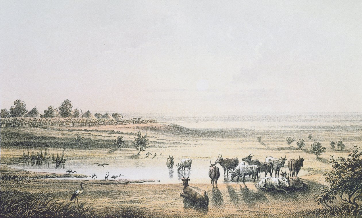 Tšadin rajat vuonna 1851, Heinrich Barthin teoksesta "Travels and Discoveries in North and Central Africa", kaiverrettu J. Woelfjlen toimesta, julkaistu 1857 (värikaiverrus). tekijältä Johann Martin Bernatz