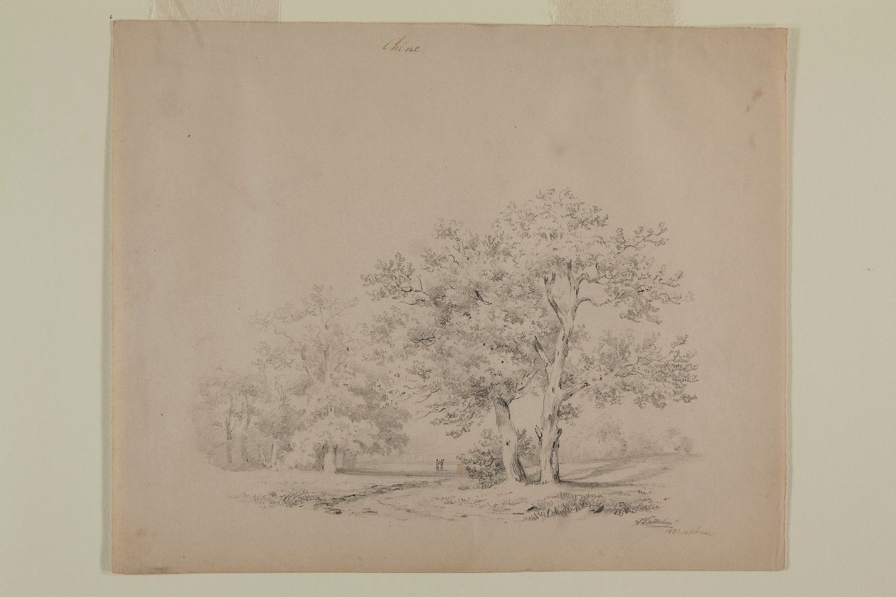 Piirustus tammeista, Johann Sutterlin tekijältä Johann Sutterlin