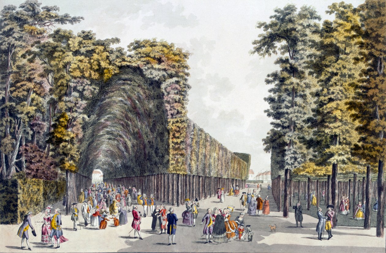 Limegrove Walk, Augarten, Wien, 1790-luku tekijältä Johann Ziegler