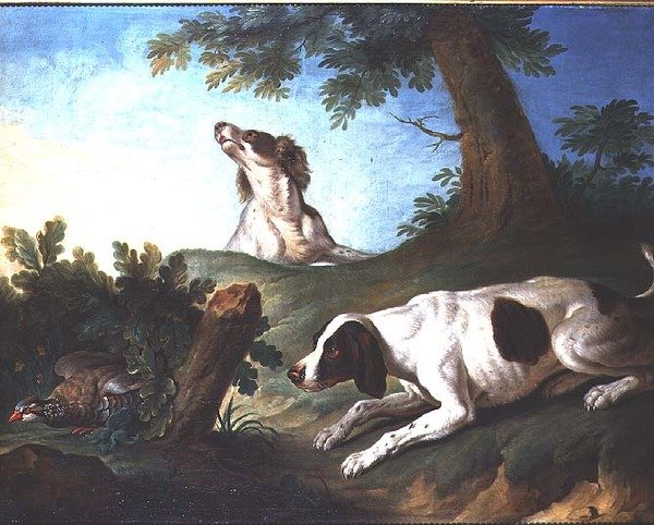 Spanielit nostamassa peltopyytä tekijältä Johann Michael Baader