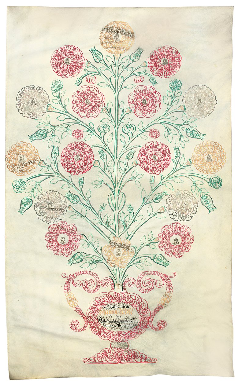 "Ruusu", sukupuu, joka esitettiin keisari Kaarle VI:lle, 1731 tekijältä Johann Carl Paricius