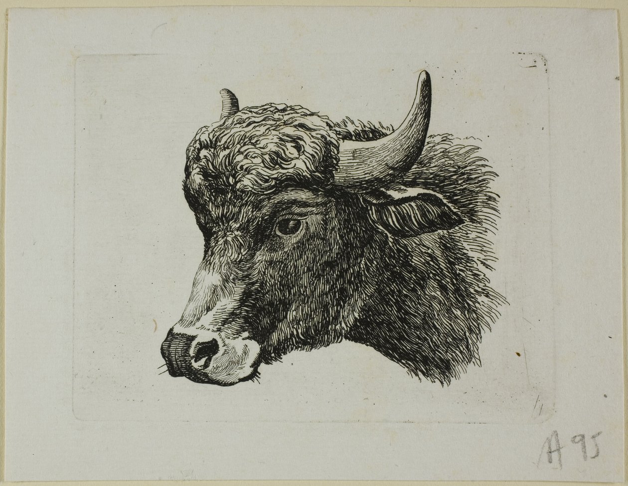 Buffalo-pää vasemmalle, Die Zweite Thier Folge tekijältä Johann Christian Reinhart