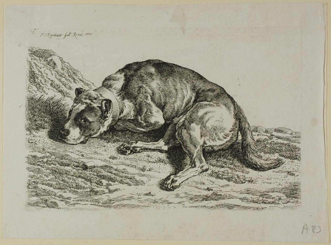 Koiran makaaminen, teoksesta The Second Succession of the Thief tekijältä Johann Christian Reinhart