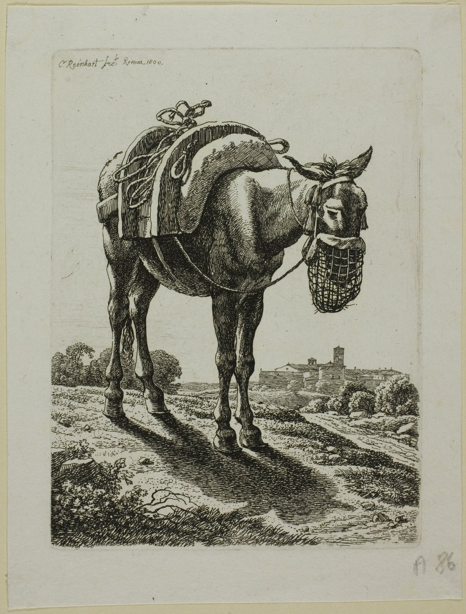 Feeding Mule - Front, The Second Succession of Thieves tekijältä Johann Christian Reinhart