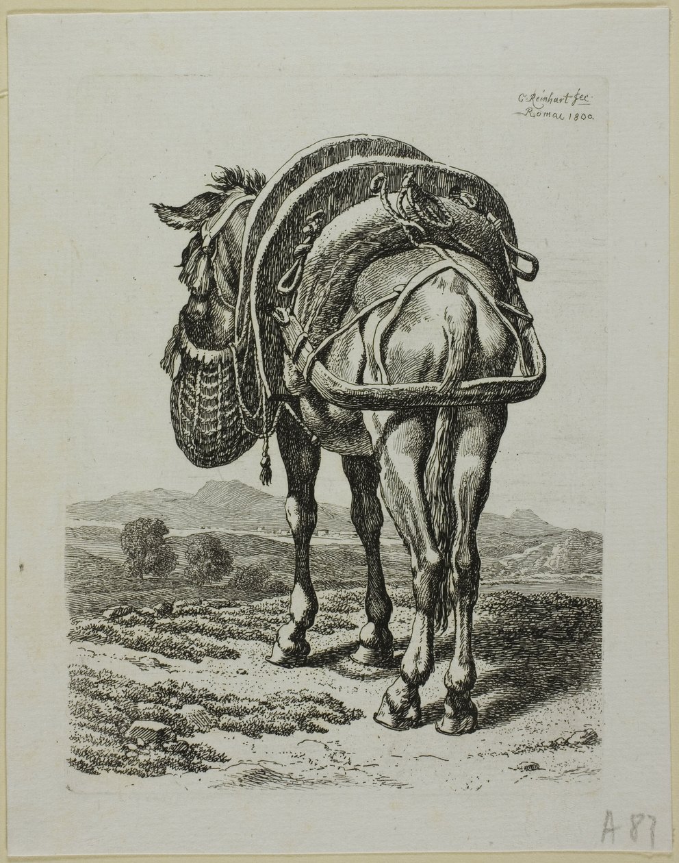 Feeding Mule - Taka, Die Zweite Thier Folgelta tekijältä Johann Christian Reinhart