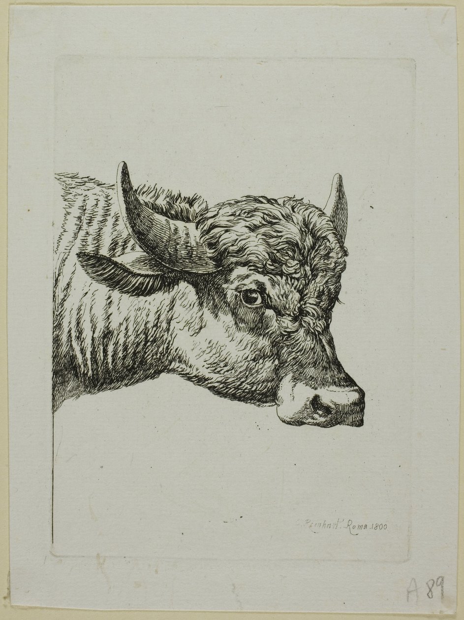 Buffalon päällikkö, Die Zweite Thiernahmesta tekijältä Johann Christian Reinhart