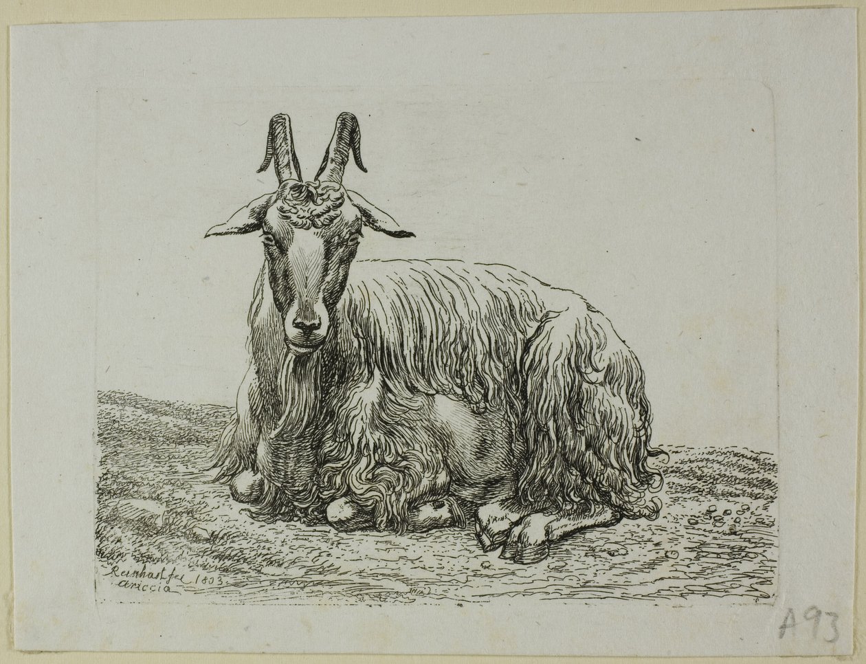 Valehteleva vuohi, Die Zweite Thiernahmesta tekijältä Johann Christian Reinhart