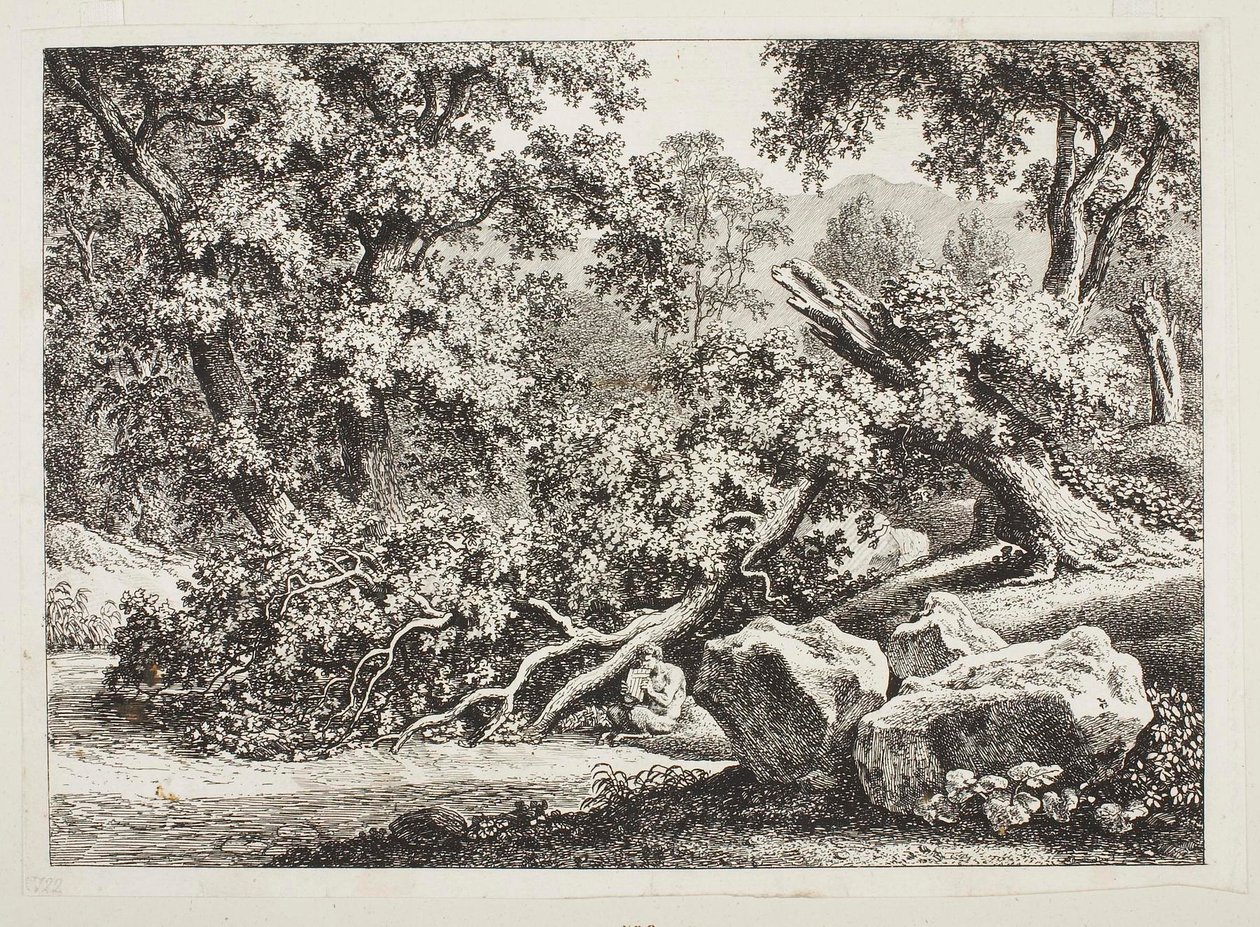 Metsämaisema, jossa on katkennut tammi tekijältä Johann Christian Reinhart