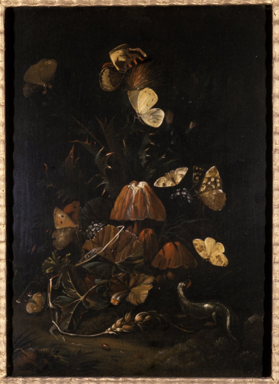 Kukat perhosilla ja liskolla (öljy tammipuulle) tekijältä Johann Christian Thomas Winck