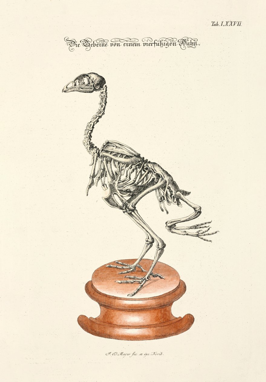  tekijältä Johann Daniel Meyer