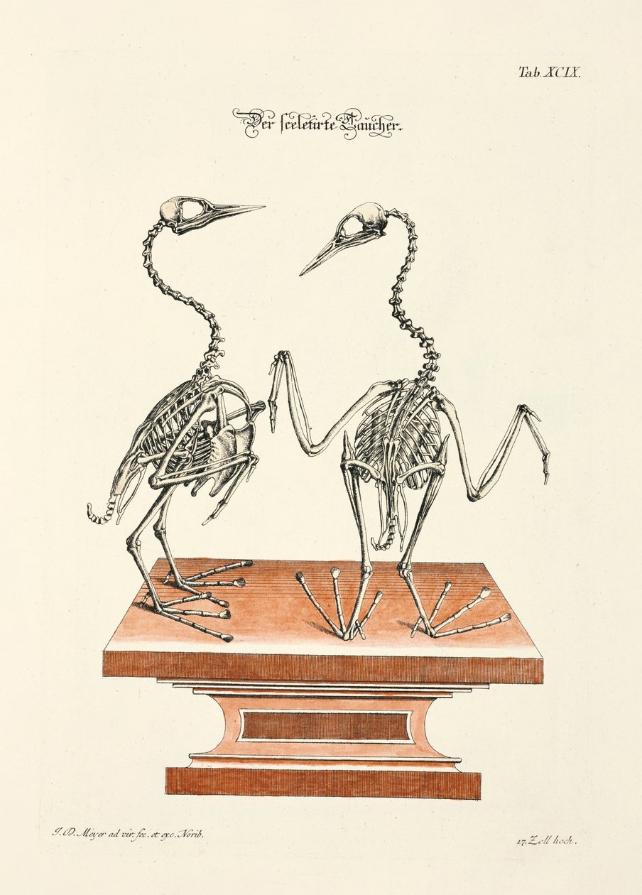  tekijältä Johann Daniel Meyer