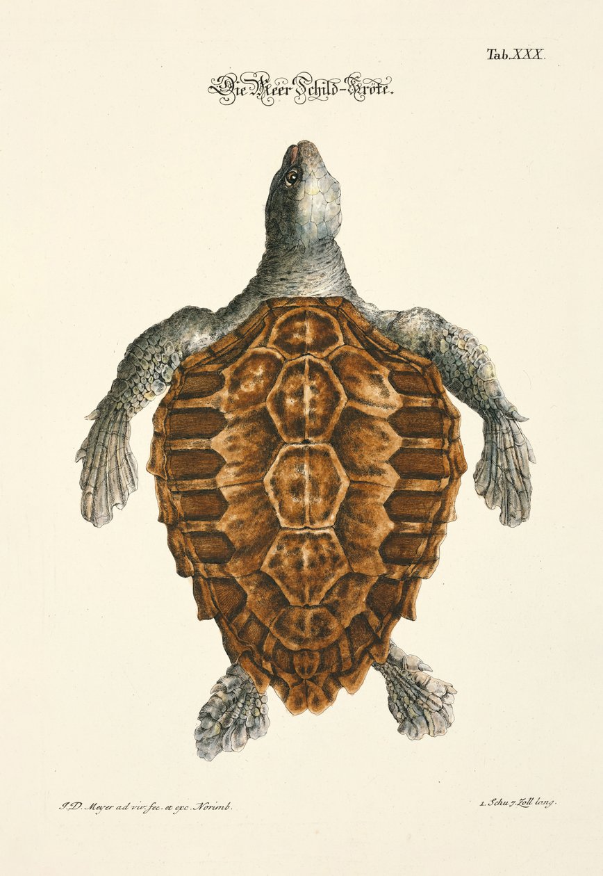  tekijältä Johann Daniel Meyer