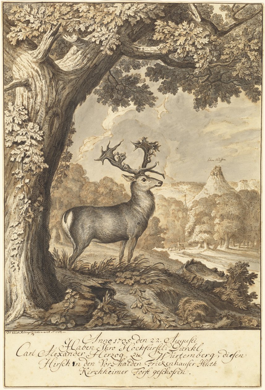 Hirvi mahtavan tammen alla tekijältä Johann Elias Ridinger